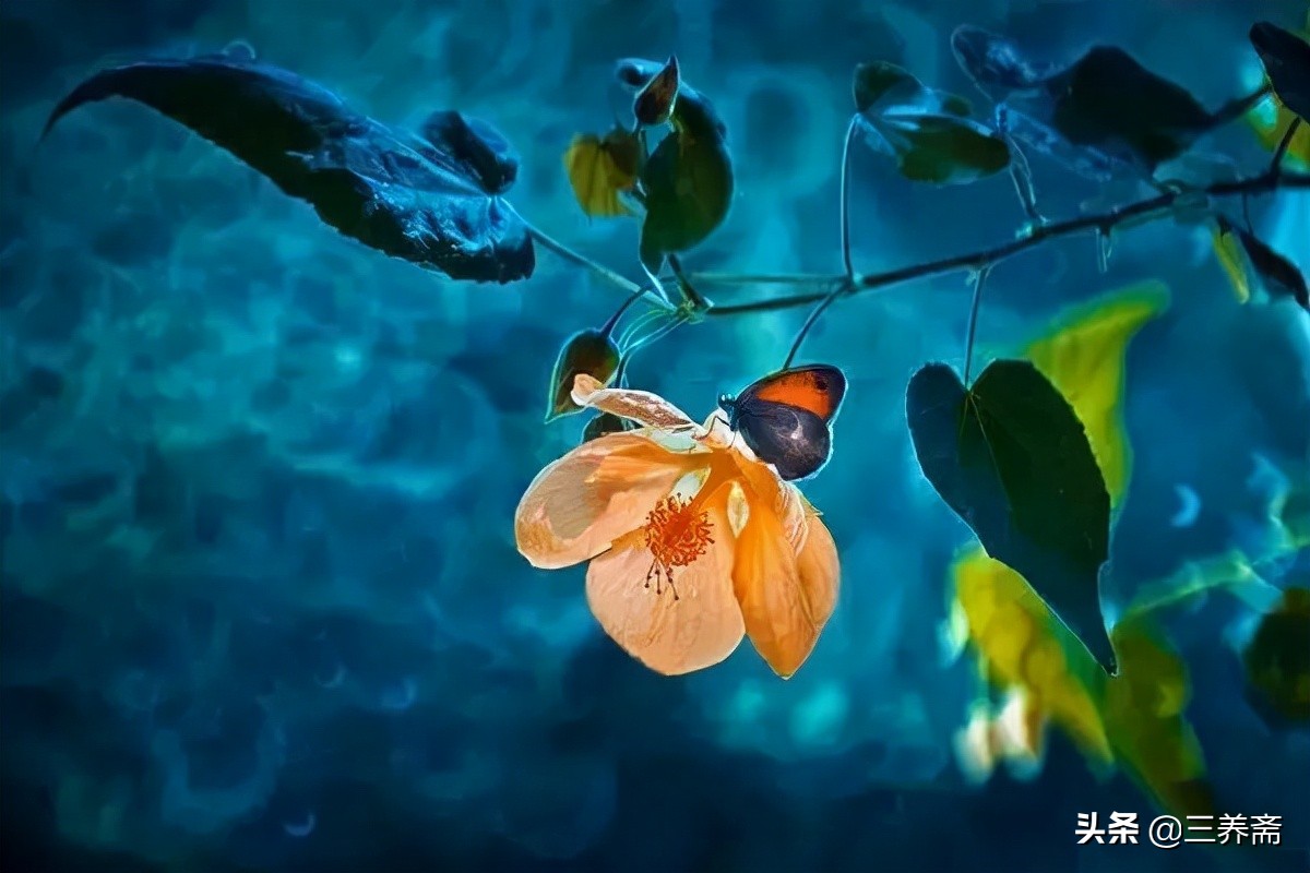 登鹳雀楼唐王之涣一年级上册古诗,登鹳雀楼唐王之涣古诗讲解