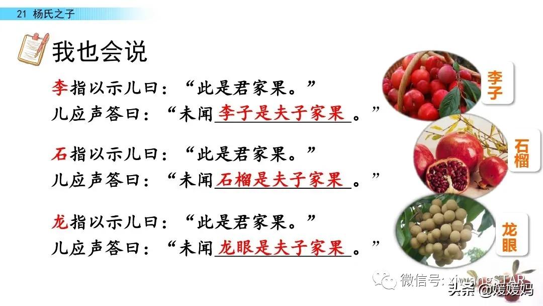 部编版五年级语文21杨氏之子教案,五年级下册语文21课杨氏之子笔记