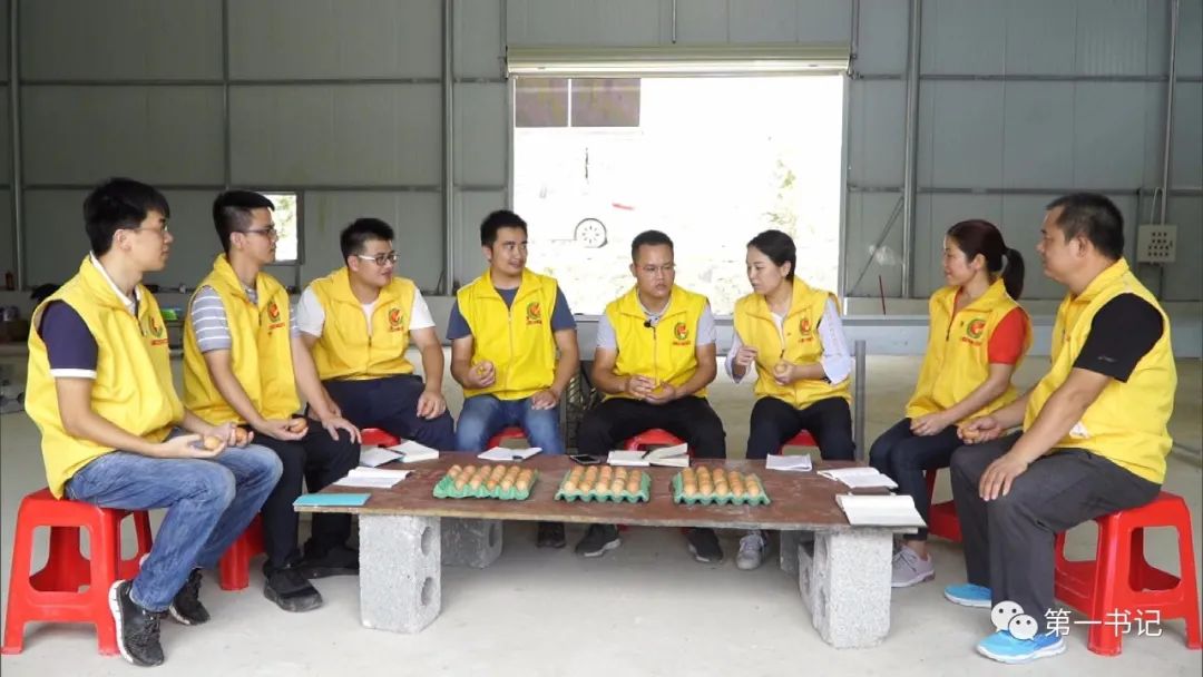 广西乡村振兴带动脱贫,乡村振兴宾阳