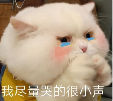 大曲线结局,大曲线离婚女星是谁