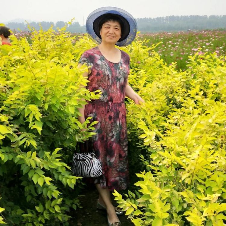 2018年总结表彰暨「感动我的人和事」征文颁奖团拜会