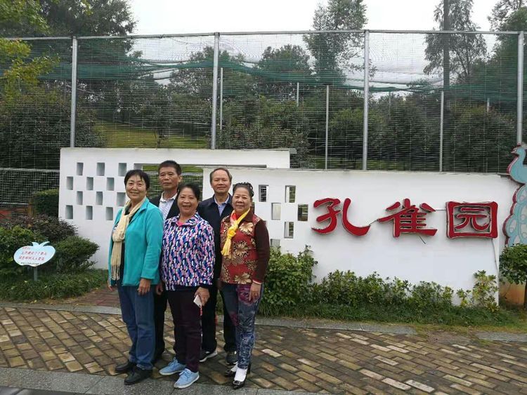 难以释怀的知青情结,60年代的知青情结