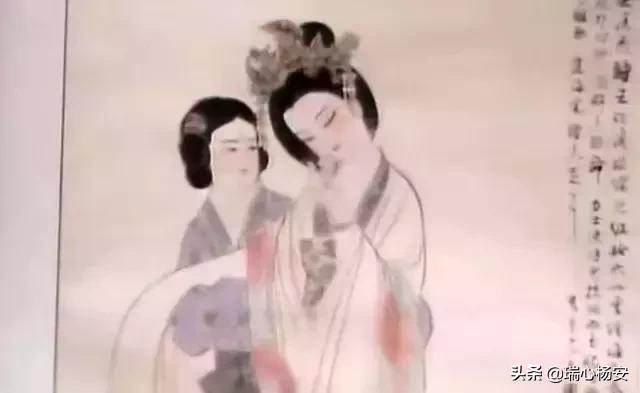 最新红楼梦诗词全译,最美的红楼梦古诗词