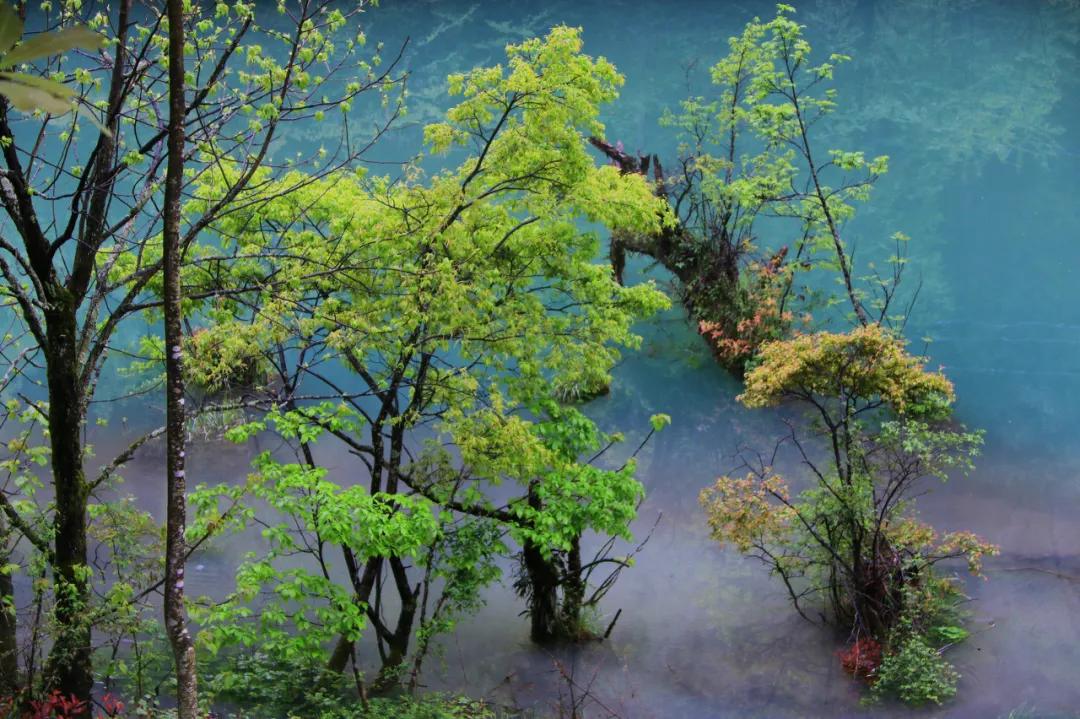 湖北小众古镇旅游推荐,湖北悠闲不累的旅游胜地