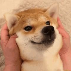 唱歌唱得累的感觉怎么缓解,唱歌为啥嗓子总紧唱得非常累