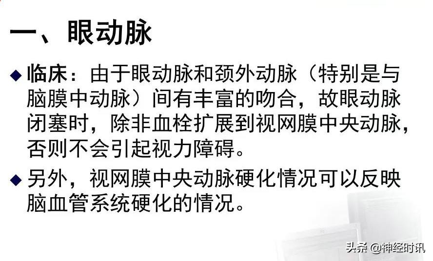 脑动脉解剖学讲解,脑膜中动脉解剖讲解