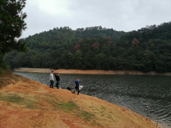 本汀金迦潘7.2米鱼竿测试,本汀宗师108跟金迦潘怎么选