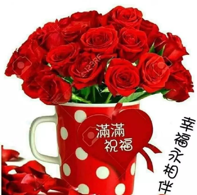 生活苦不苦看对生活的态度,生活累不累自己去体会早安