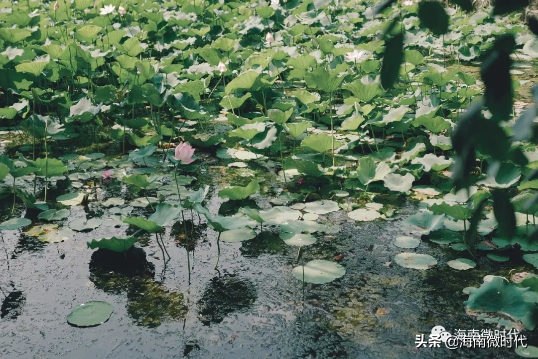 海南大学啥时候开学,海南大学开学需要带被子吗