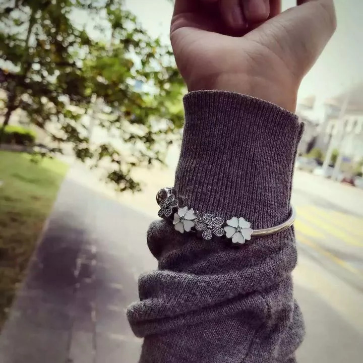 pandora潘多拉珠宝舆论危机,丹麦时尚珠宝品牌潘多拉pandora