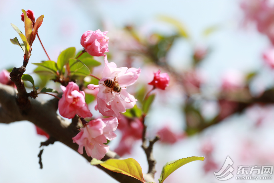 冬日暖阳黄兴公园的美景,公园黄兴公园