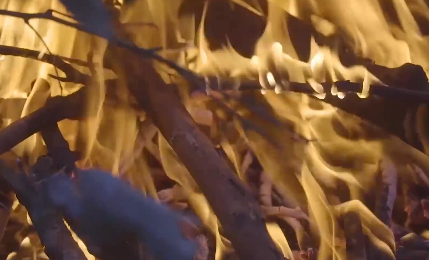 漂亮的野外烤鱼,野外吃美味烤鱼