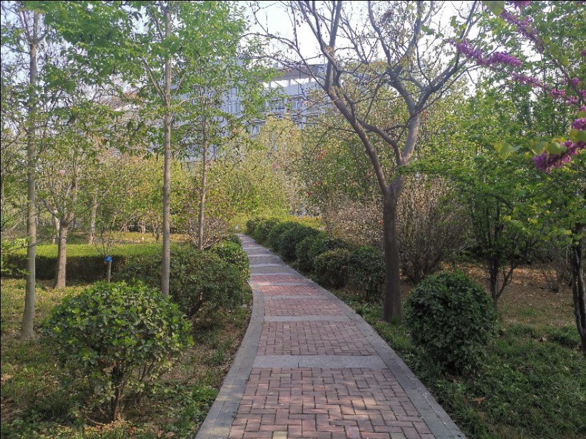 疫情期间隔离日记300字,隔离期间医护人员工作日记