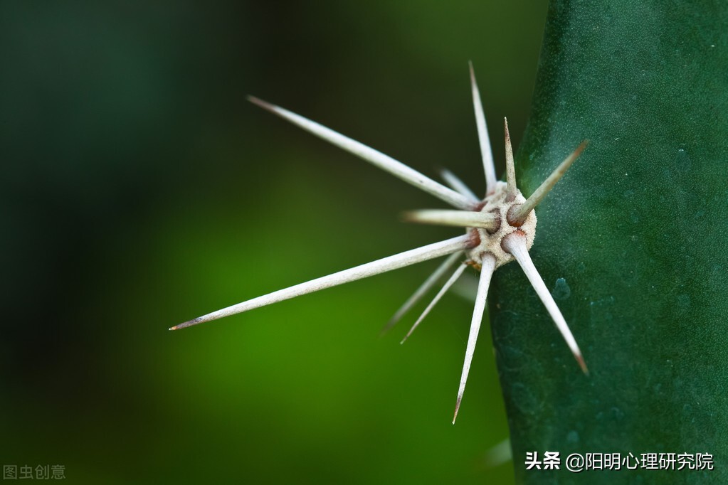 心理医生为什么很少,心理医生是否真的存在