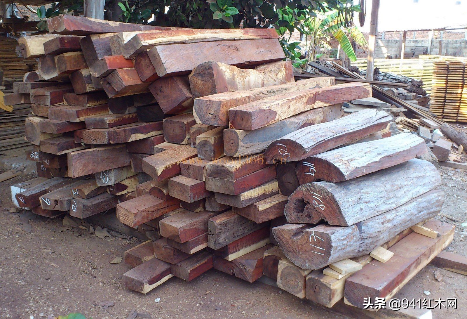 仙游大红酸枝红木原材价格,红木原材价格行情缅甸花梨