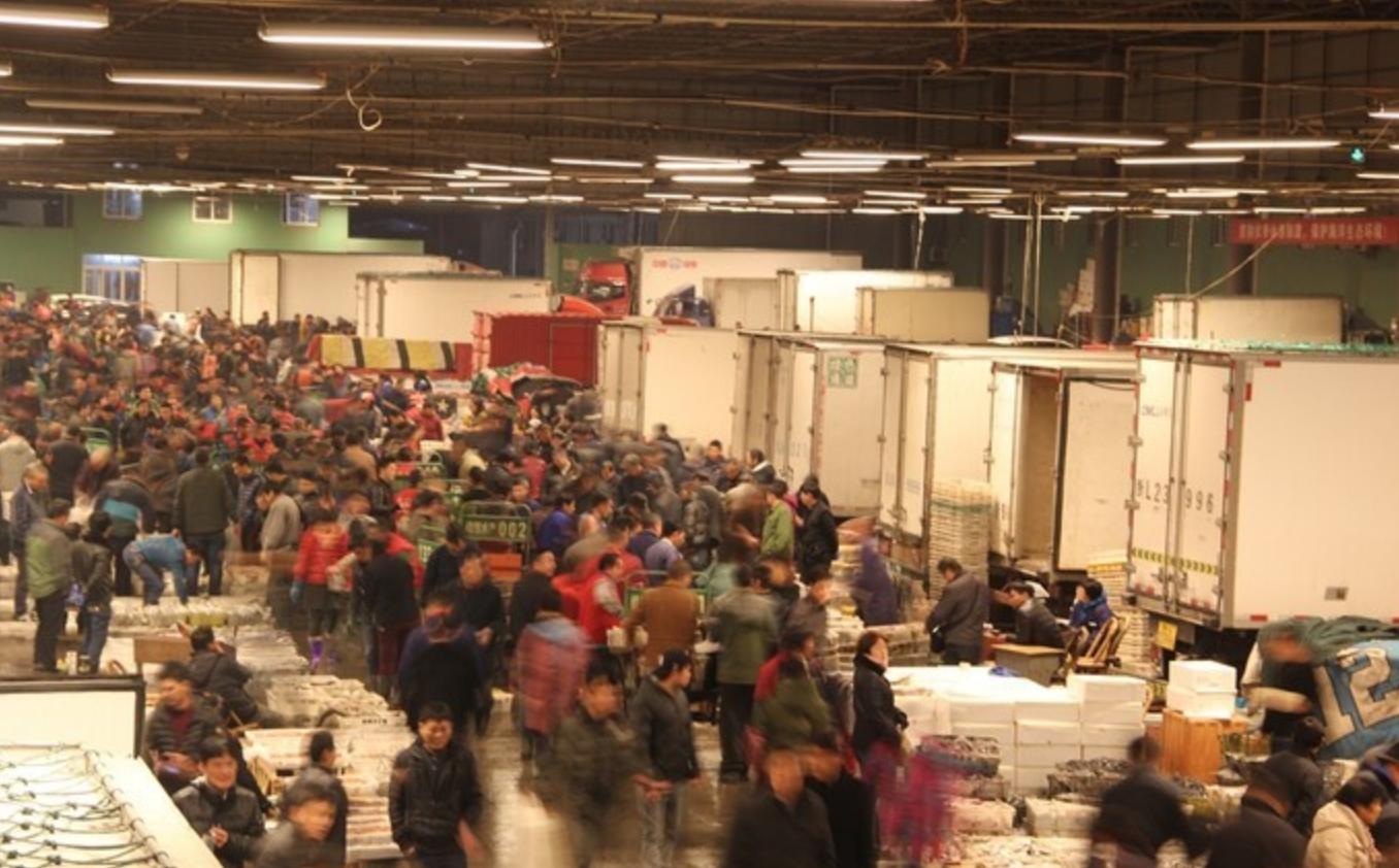 中山水产海鲜批发市场在哪里,广州最大的海鲜水产批发市场