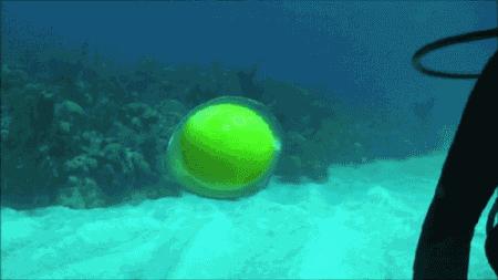 科普张姿势动图：感觉自己姿势又涨了100点