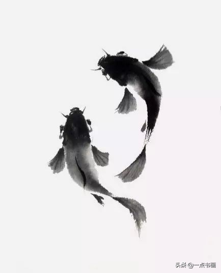 池中之仙，惊艳若此——锦鲤