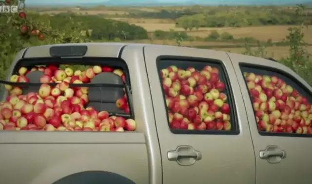 熊出没的英语动画片推荐,英语动画片熊出没中英文版