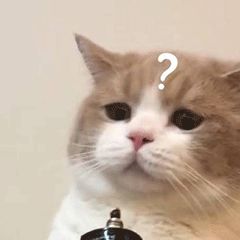 迪拜gdp和上海gdp,迪拜gdp最新排名