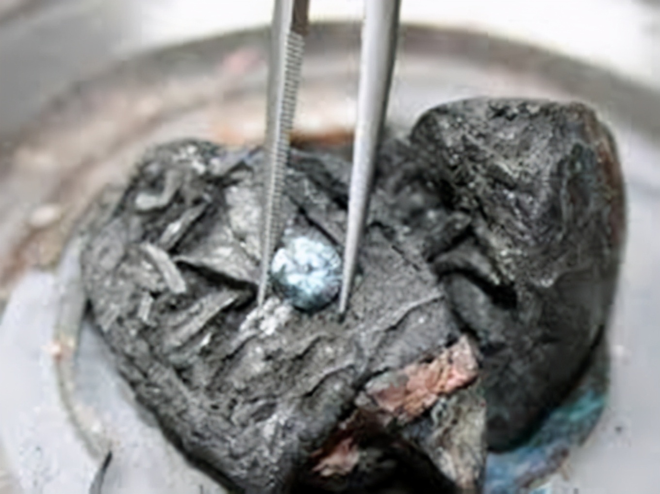 如何判定尸体死亡时间,如何判断尸体死亡时间