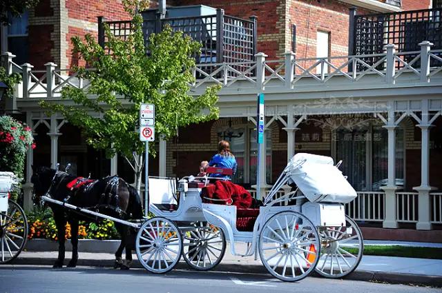 加拿大特色小镇风景迷人了解一下,加拿大小镇视频大全