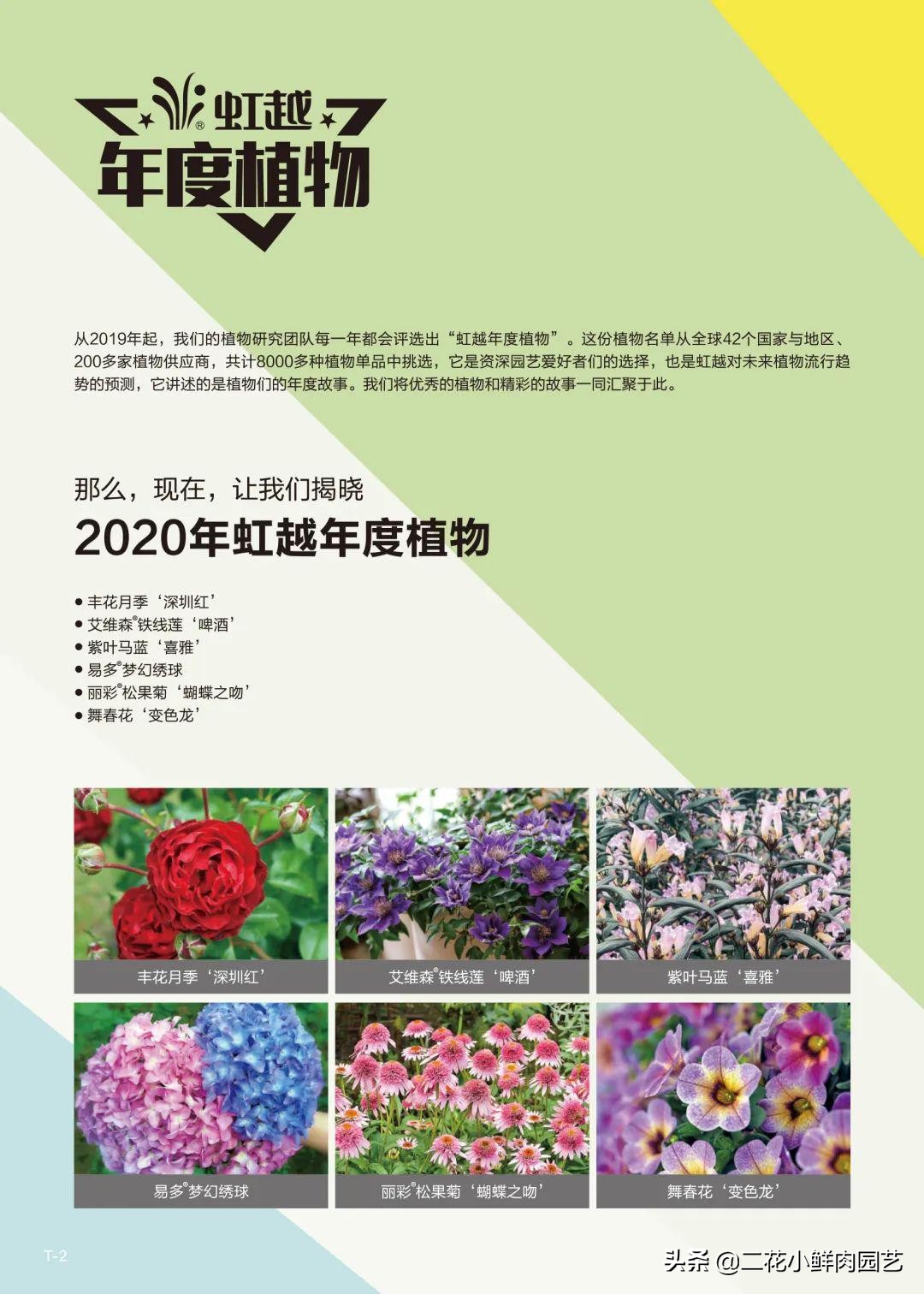 鍥壓鑺卞崏绉嶆鐭ヨ瘑鍏ラ棬,鑺卞崏鍥壓濡備綍鍏ラ棬