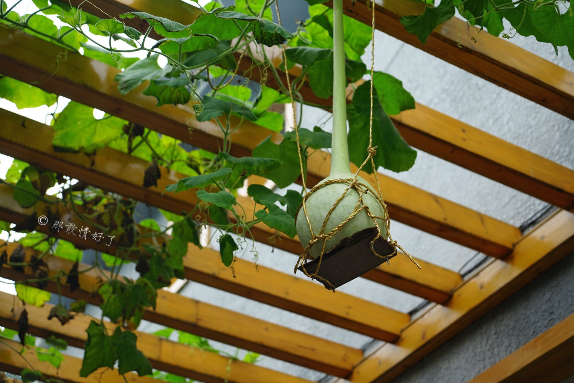 北京昌平带私人烧烤的民宿,昌平京郊民宿