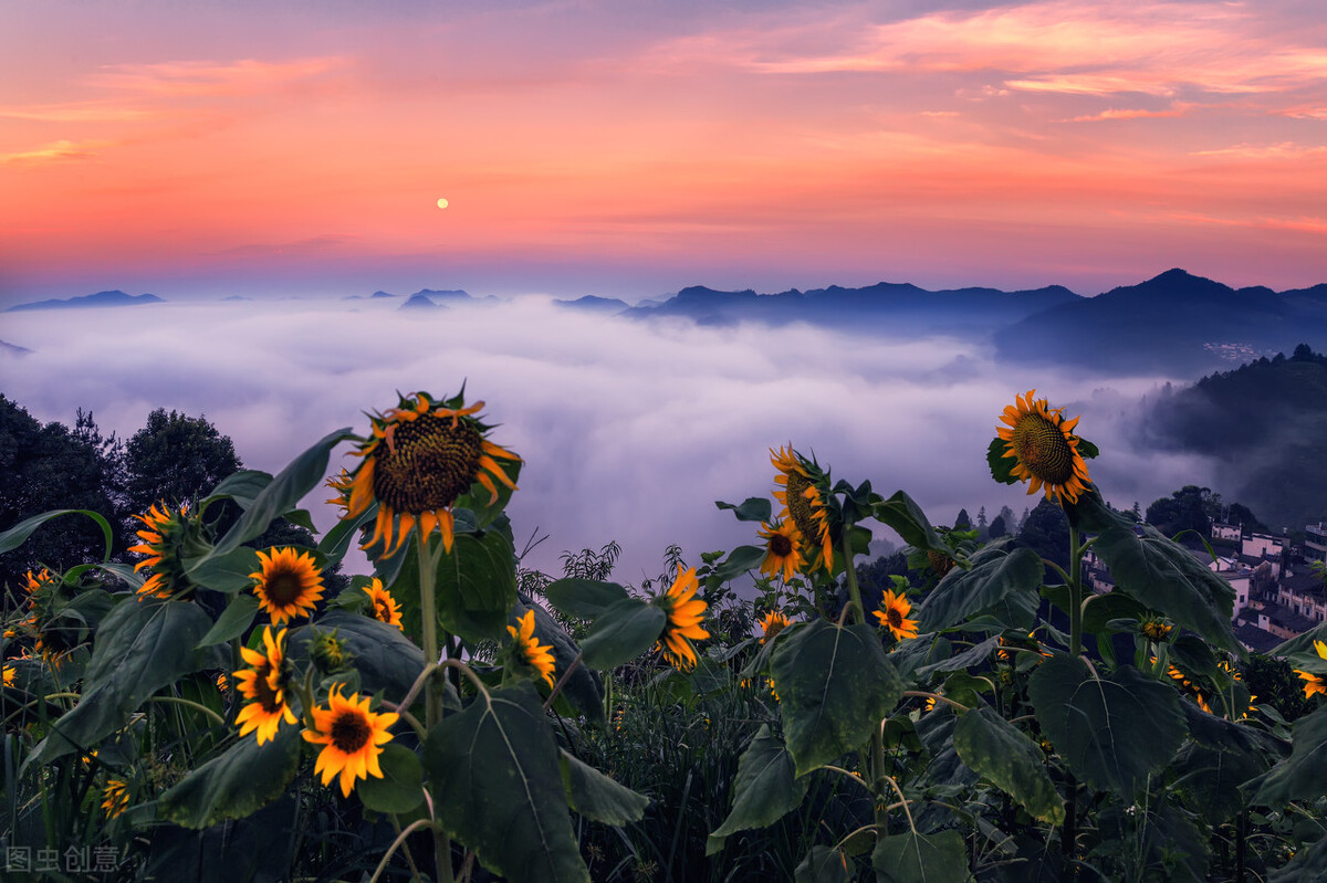 站桩10种基本功法,站桩的神奇功法训练
