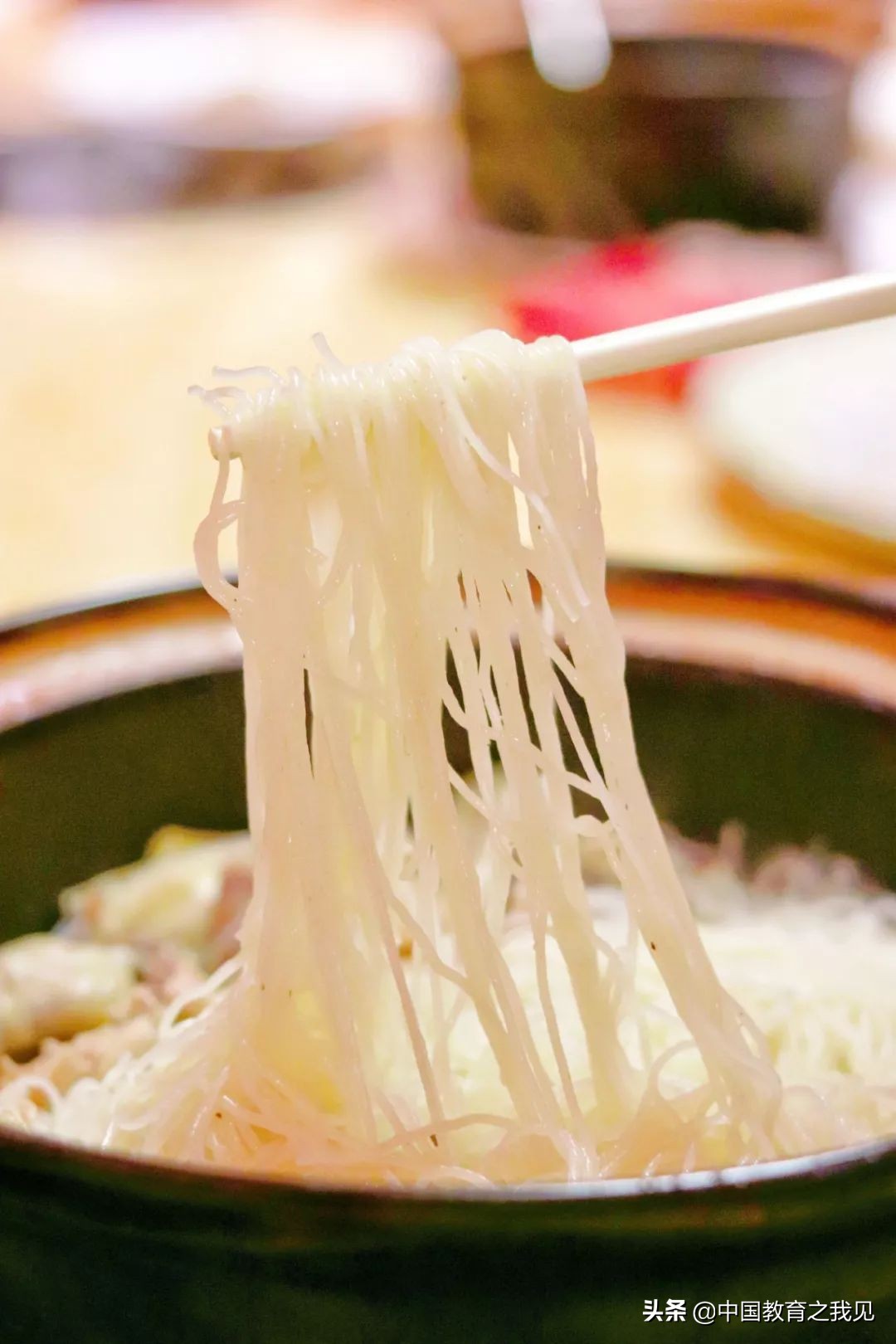 叶南渔村葡萄园,叶南渔村