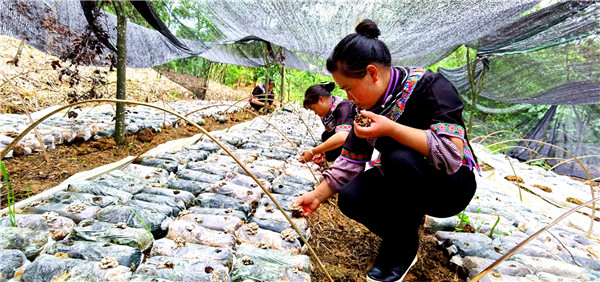 贵阳端午节去哪儿玩最合适,贵阳周边端午节去处