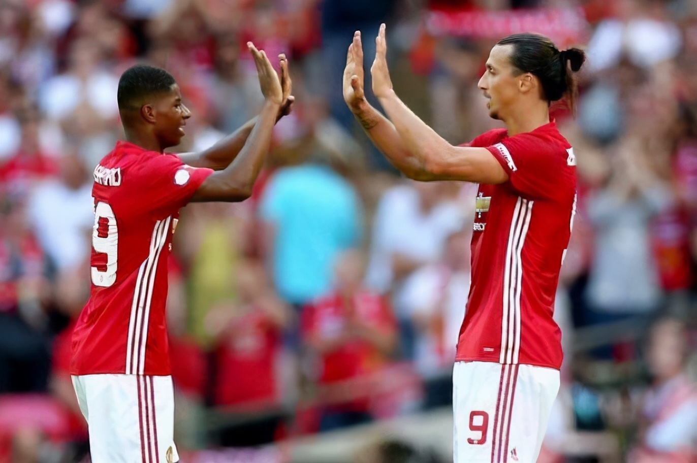 伊布当年有多狂,伊布究竟有多强