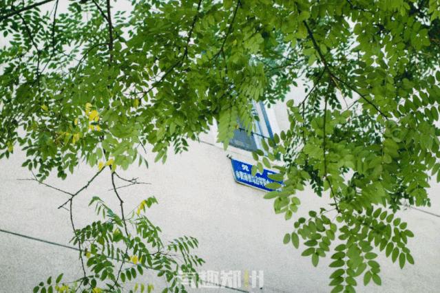 郑州有什么特色的老街,郑州一条古城老街