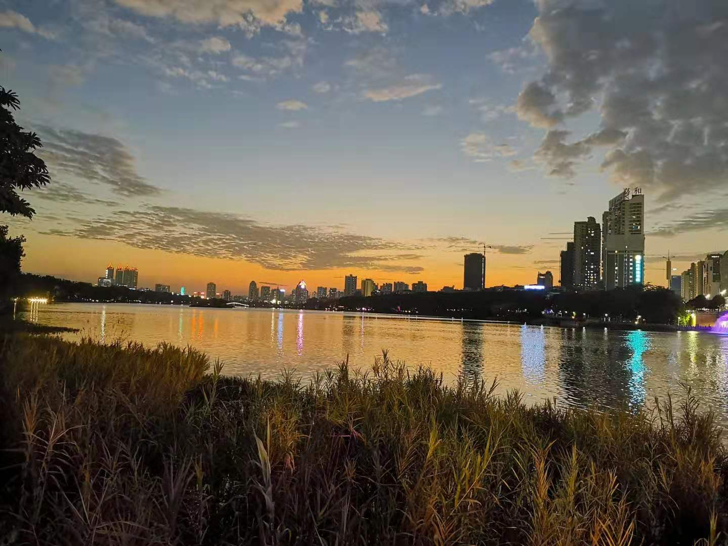 自我接纳的国王的演讲,国王的演讲是如何克服困难的