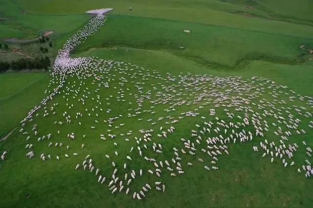 中国最没被认全的邻居,我国未被识别的民族有多少
