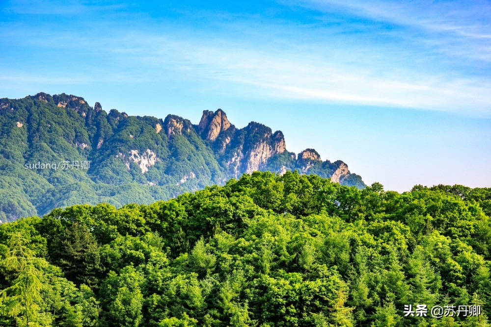 最美神都洛阳,古都洛阳一道靓丽的优美风景线