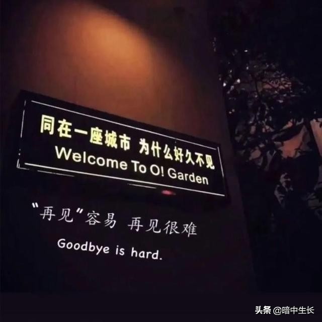 卖婚纱的婆婆说很少看到,卖婚纱的婆婆说明了什么道理