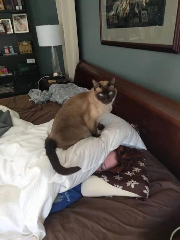 考清华北大其实很简单,有没有谁考清华北大很容易的