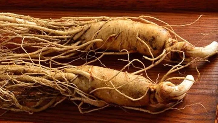 长白山鲜人参煲鸡,长白山精品袋装鲜人参炖鸡