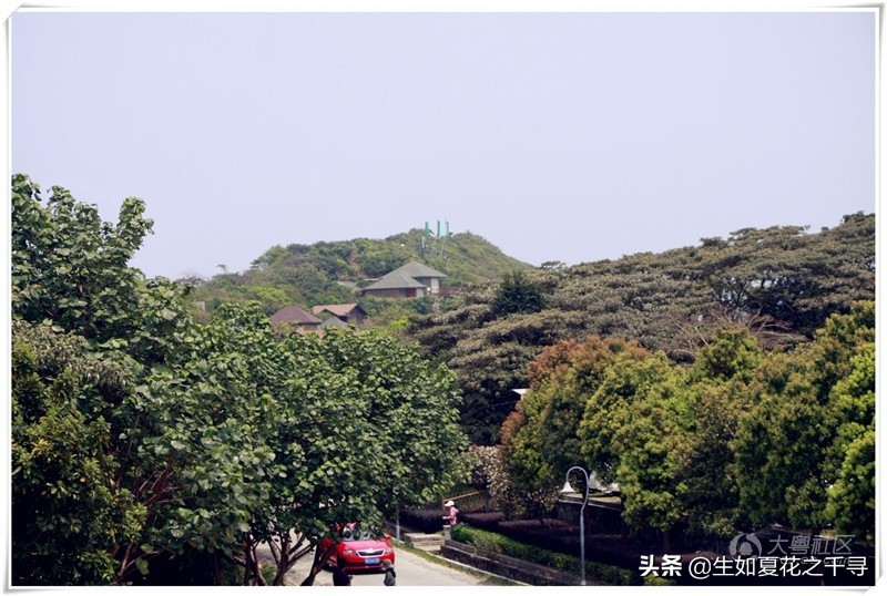 深圳市杨梅坑美人鱼拍摄基地,深圳大鹏杨梅坑美人鱼拍摄地点