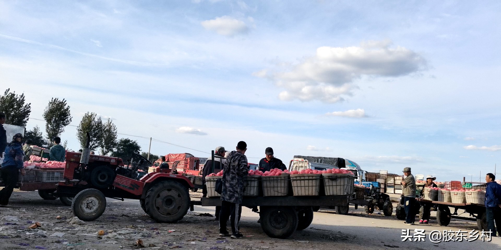 2023年烟台红富士苹果价格预测,预计今年红富士苹果市场走势如何