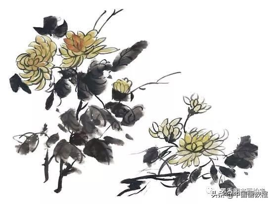 菊花花头花苞画法,菊花花头的画法步骤图片