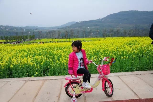 重庆旅游小岛,重庆小岛景区