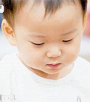 上海最值得一去的餐厅,适合一个人去吃的上海高级餐厅