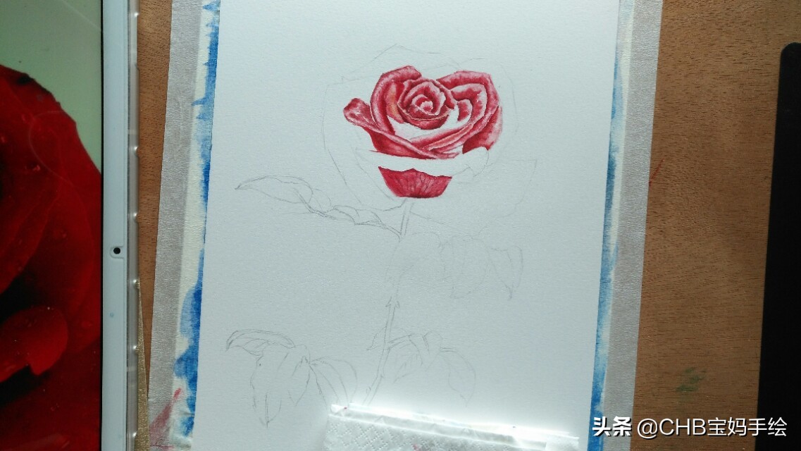 水彩画初学者零基础教程玫瑰花,水彩画教程入门玫瑰花慢教程