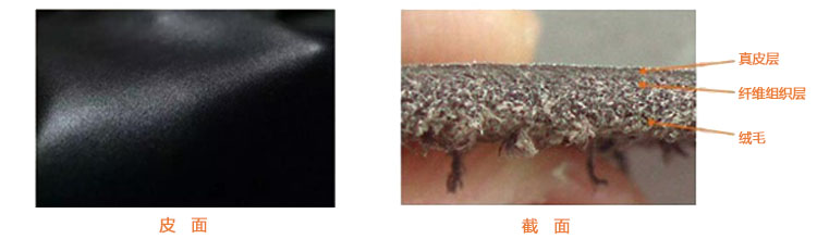 皮具入门知识,手工皮具皮料选择