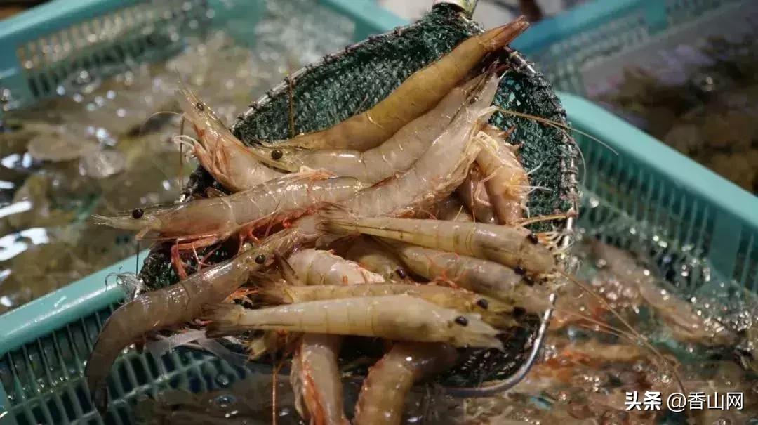 珠海南屏海鲜攻略值得推荐,珠海南屏吃海鲜的地方