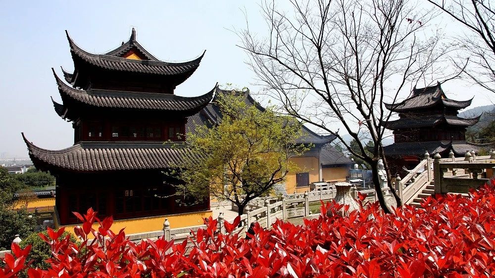 通安镇苏州,苏州通安通航水稻农场