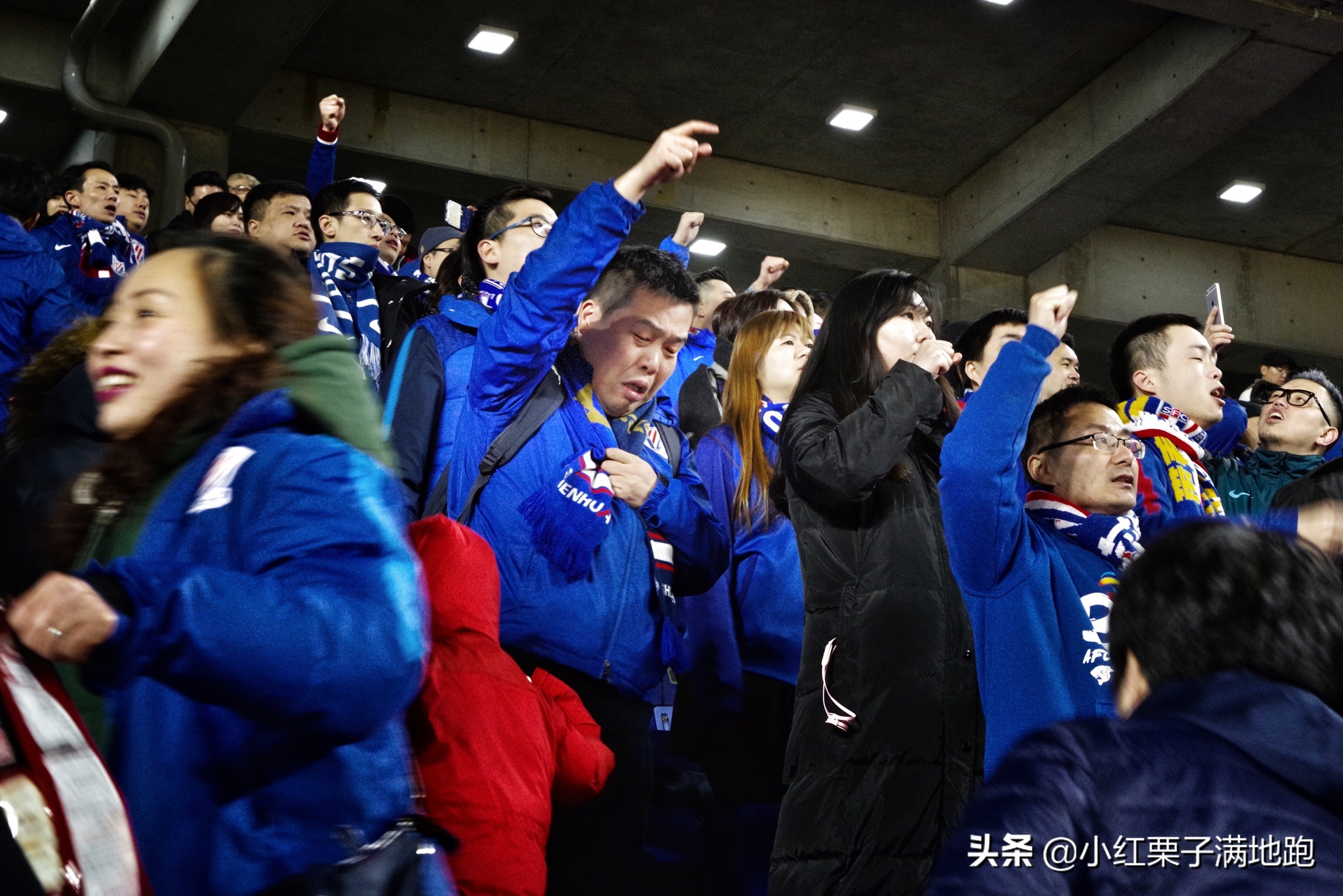 疫散花开张家界,疫散花开欢迎归来