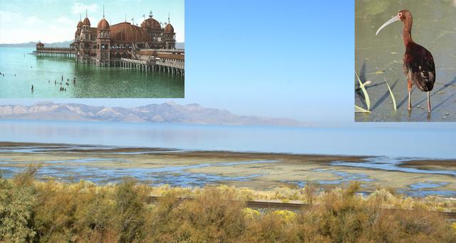 世界最低最咸的湖死海,世界十大死海排名